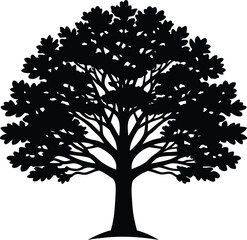 Obraz premium Detailed Oak Tree Illustration with Branches and Leaves Silhouette