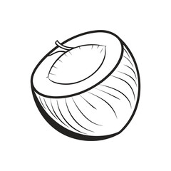 Hand drawn sketch of a halved coconut with its white flesh exposed