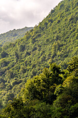 Fototapeta premium Paisaje en Covadonga, Asturias, España.