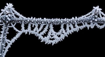 Obraz premium Photo of intricate frost crystals form a delicate, lacelike pattern on a spiderweb, creating a beautiful natural design against a stark black background