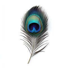 Obraz premium Isolated peacock feather, vibrant colors, eye-catching design