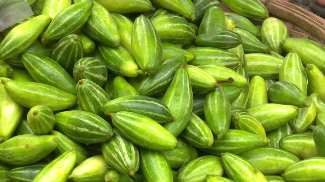 Fresh Pointed Gourd For Cooking