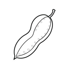 Simple hand drawn outline illustration of a peanut pod on a white background
