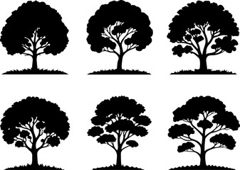 Fototapeta premium black silhouette illustrations of individual deciduous trees