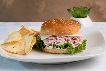 spam salad sandwich with  potatochips