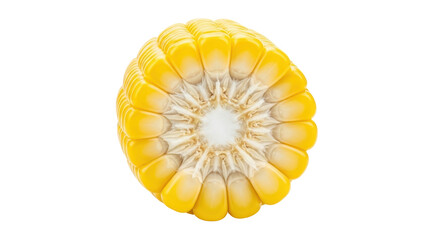Isolated Corn Half Cut