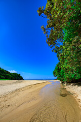  小川が流れる白砂の石垣島クリスタルビーチの夏の風景