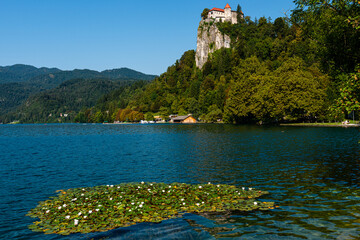 The castle of Bled on a hill by the lake, Slovenia.