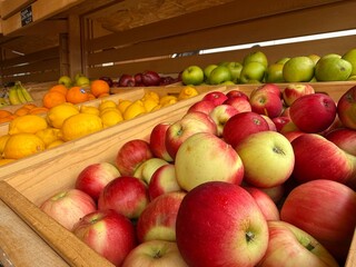 apples, lemons and other fruit in the organic market 