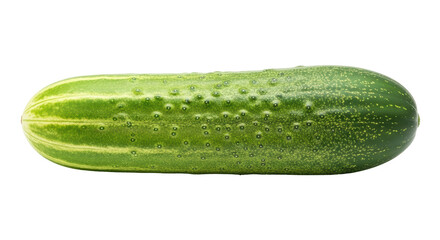Isolated Fresh Cucumber
