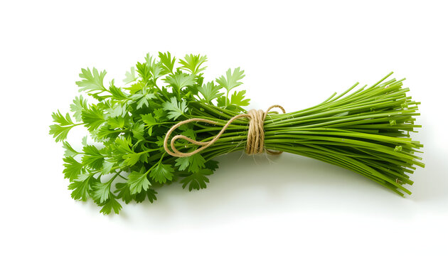 Fresh parsley bunch tied with string white background, perfect for culinary use and decoration
