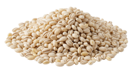 Isolated Pile of Pearl Barley