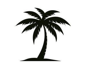 silhouette of Coconut tree