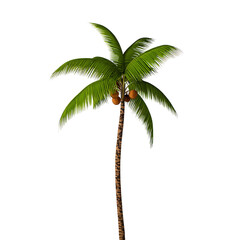 Obraz premium A tall vibrant green coconut palm tree with coconuts against a black background