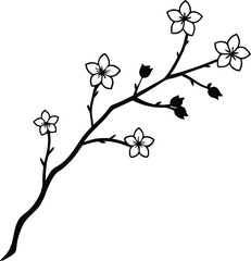 A single cherry blossom branch with a few blossoms silhouette