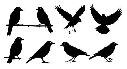 Fototapeta premium Silhouettes of Various Birds Perched and Flying on White Background bird silhouettes