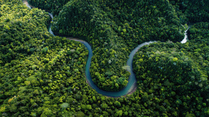 Aerial View of Winding River Through Lush Green Forest Landscape