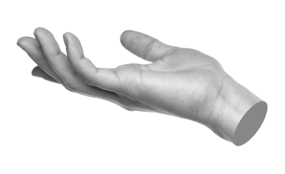 Hand gesture like a holding something isolated on transparent background. Contemporary art design