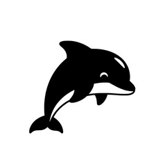 dolphin isolated on white background