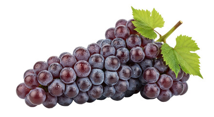 Isolated Grapes Bunch