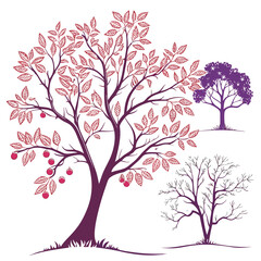 Obraz premium crabapple malus prairefire royal raindrops tree vector