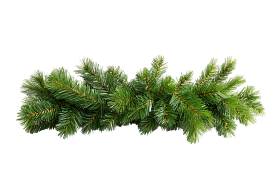 Realistic green fir tree garland with detailed needles isolated on transparent background