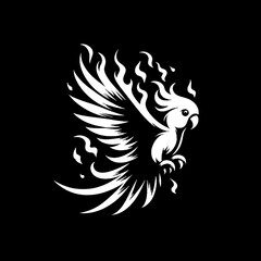 black and white bird