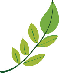 Vibrant green leaf sprig with delicate vein details isolated on a clean backdrop symbolizing growth and nature's beauty.
