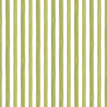 Fototapeta Hand painted illustration watercolor Olive green stripes on transparent background. Stripe seamless pattern. Plaid material. For fabric, sketchbook, wallpaper, wrapping paper, bags, for cards, banner.