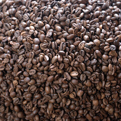 Roasted coffee beans on a black background. Selective focus.