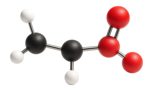 Lactate molecule model with hydroxyl and carboxyl groups