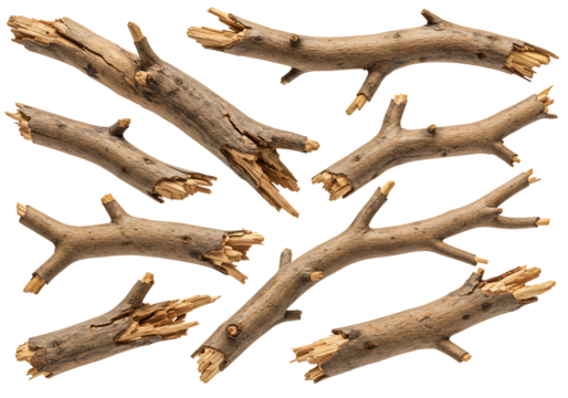 Broken branches transparent background natural texture splintered wood fragments