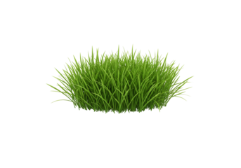 Lush green grass clump isolated on transparent background nature texture digital illustration