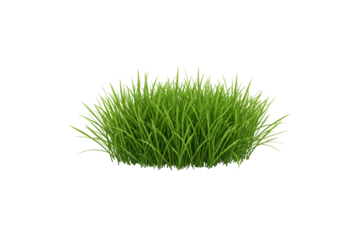 Lush green grass clump isolated on transparent background nature texture digital illustration