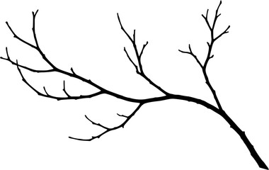 A bare branch Vector 
