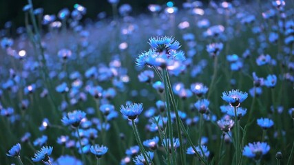 AI-generated blue wildflowers gently sway in a soft dreamy field under natural light during twilight - Powered by Adobe