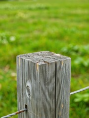 Captivating close-up of a weathered wooden fence post in a lush green field nature photography tranquil environment