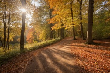 Fototapeta premium Herbstlicher Waldweg bei Sonnenlicht – malerische Naturaufnahme mit buntem Laub, geschwungenem Pfad und stimmungsvoller Lichtstimmung im Wald