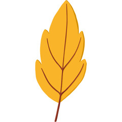 Yellow Autumn Fall leaf illustration