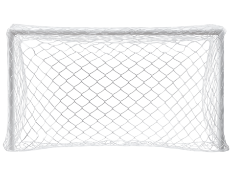 The photograph presents a detailed view of an empty goal net, the focus is on the netting and the frame. 