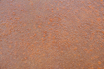 Detail of rusty metal door with rough but uniform