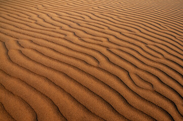 Natural designs and shapes in the sand, caused by the wind.