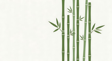 Green bamboo stalks and leaves on white background
