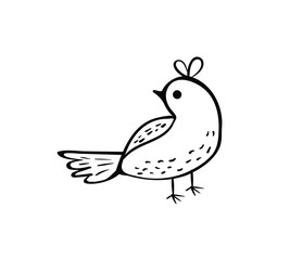 Bird in doodle simple style on white background illustration