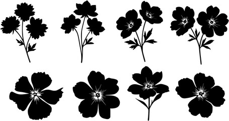 floral background with flowers 