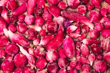 lots of frozen radishes with frost