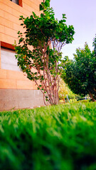 Discover the jewel of Saudi Arabia by night with this exclusive collection of images from the heart of National Museum, the birthplace of the first Saudi state.