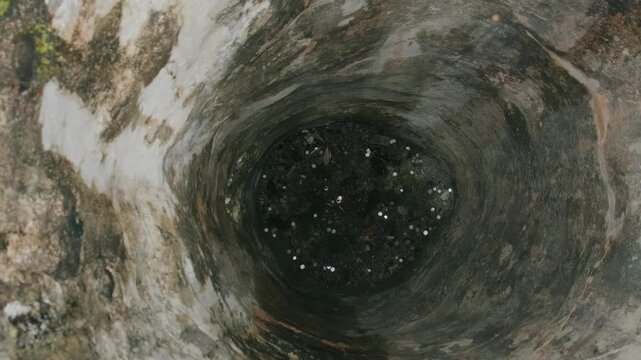 Old stone wishing well interior with moss-covered walls and coins scattered at the bottom, top-down view capturing rustic texture, history, tradition of making wishes by throwing money into the well