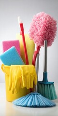 Cleaning Supplies: Sponges, Brushes, Gloves