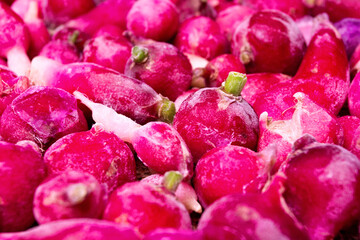 lots of frozen radishes with frost